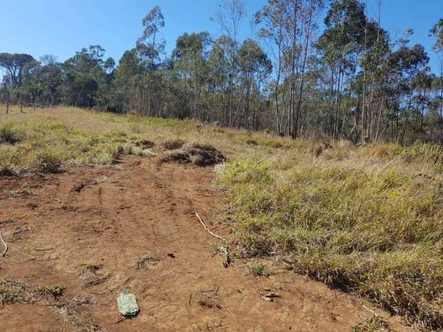 Sítio de 20.000 m² em Jarinu - SP