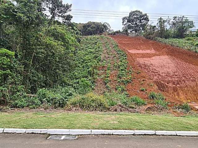 Terreno em condomínio fechado à venda na Rua Vicente Vanni Nardelli, Novo Horizonte, Juiz de Fora, 979 m2 por R$ 290.000