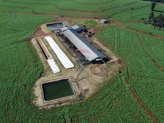 Sitio/confinamento à venda em guaraniaçu/pr