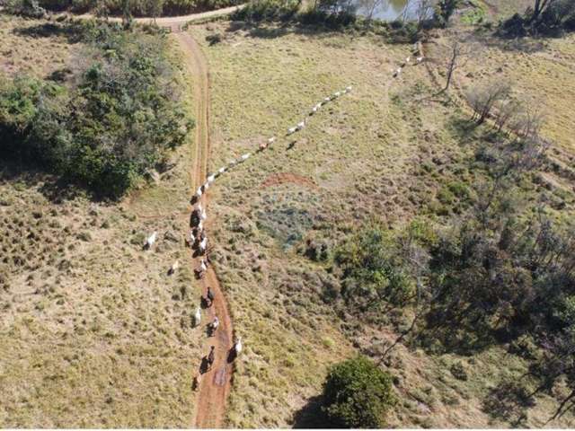 Sítio a venda em guaraniaçu pr