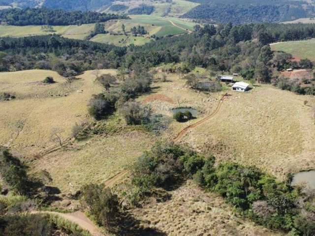 Sítio a venda em guaraniaçu pr