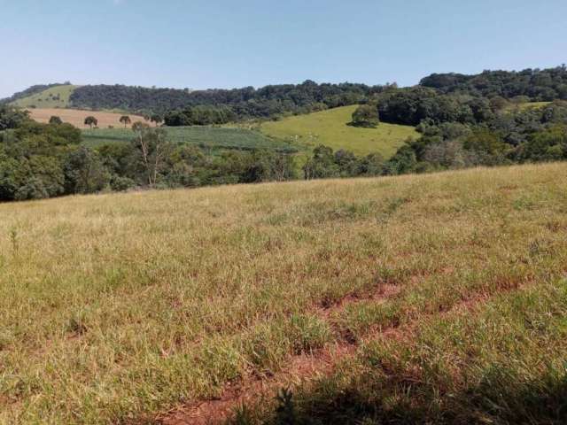 Chácara / sítio à venda na Área Rural de Avaré, Avaré  por R$ 1.836.000