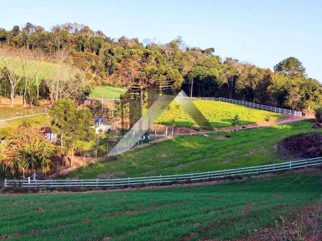 Chácara / sítio com 3 quartos à venda no Centro, Quitandinha , 30000 m2 por R$ 520.000