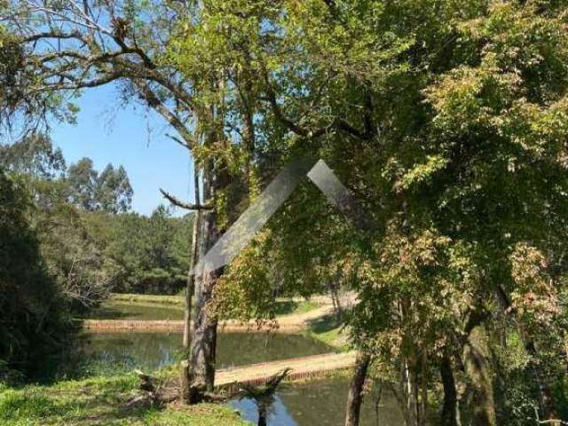 Chácara / sítio com 4 quartos à venda na Rua Tarcílio Zoelner, Cotia, São José dos Pinhais, 12859 m2 por R$ 990.000