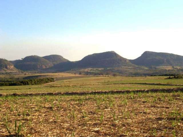 Fazenda com 1 sala à venda na Av, R. Francisco Antônio Mafra Santo Antônio da Alegria - SP,000, 1985, Centro, Santo Antônio da Alegria por R$ 17.000.000