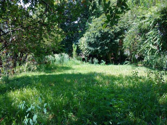 Terreno à venda na Rua Doutor Paulo Teixeira de Camargo, 252, Parque Xangrilá, Campinas por R$ 800.000