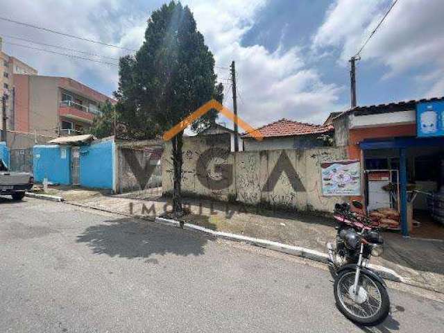 Terreno para Venda em São Paulo, Vila Guilhermina