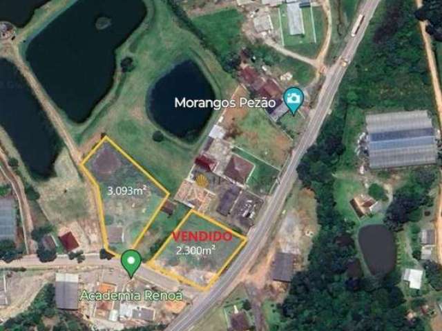 Terreno à venda, 3093 m² por R$ 950.000,00 - Cachoeira - São José dos Pinhais/PR