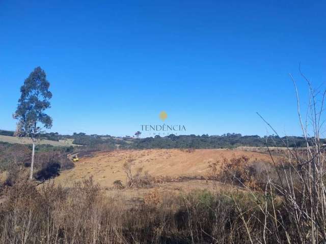 Chácara à venda, 29040 m  por R  4.400.000,00 - Cachoeira - São José dos Pinhais PR