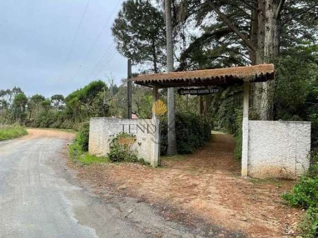 Chácara à venda, 12859 m  por R  990.000,00 - Área Rural de São José dos Pinhais - São José dos Pinh