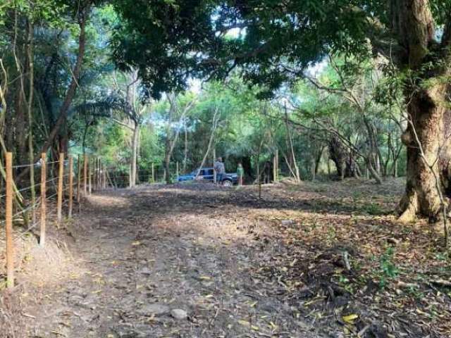 Terreno à venda, 5.300 m² por R$ 300.000 - Lagoa Aruá- Praia do Forte- Mata de São João/BA