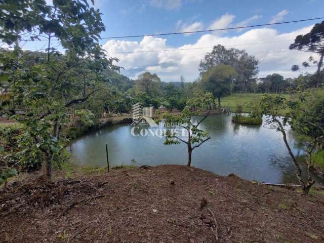 Chácara / sítio com 7 quartos à venda na Rota do Sol, 1, Fazenda Souza, Caxias do Sul por R$ 1.700.000