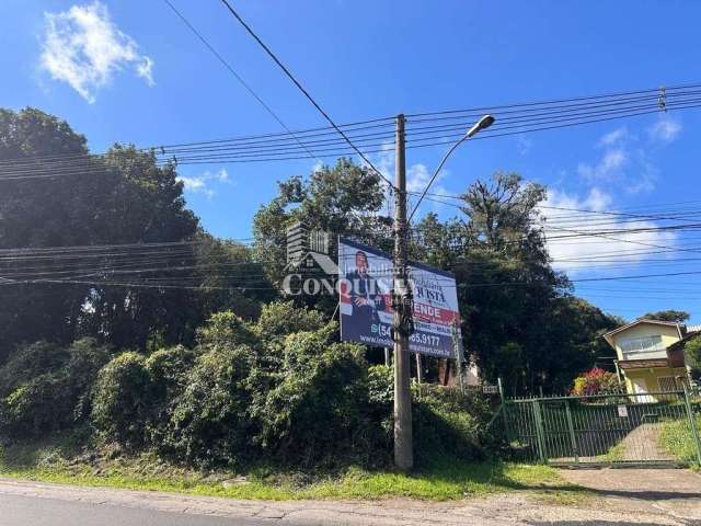 Terreno à venda na Br 116 Km, 13200, São Cristóvão, Caxias do Sul por R$ 4.900.000