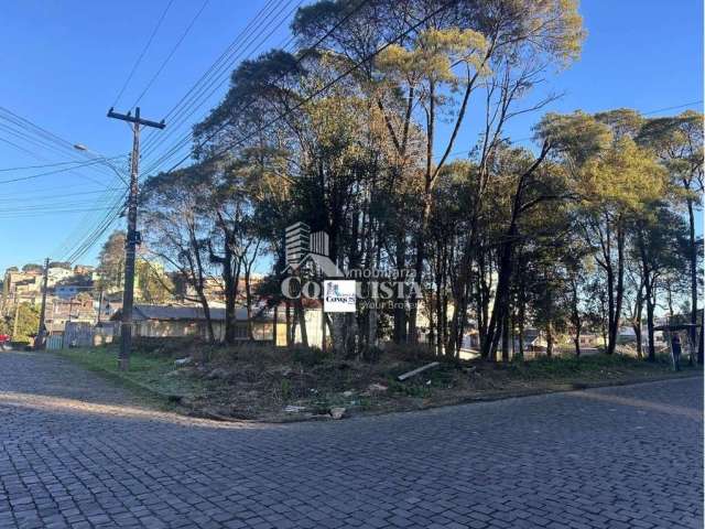 Terreno à venda na Rua Felice Veronese, Jardim Eldorado, Caxias do Sul por R$ 750.000