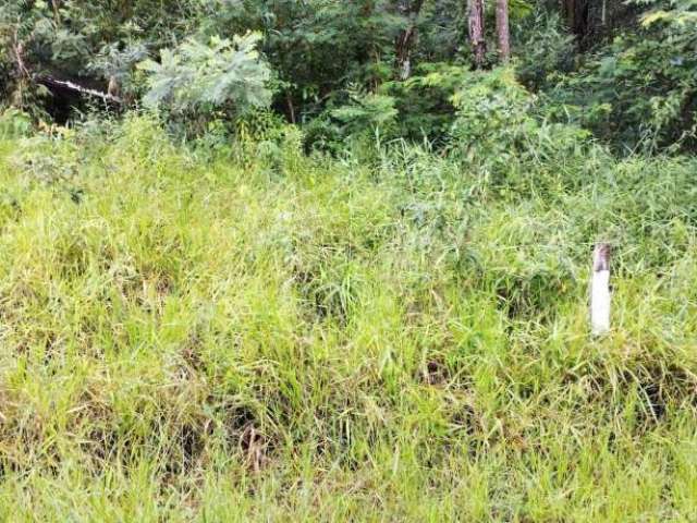 Lote em Condomínio à venda, Canto da Mata - Nova Lima/MG