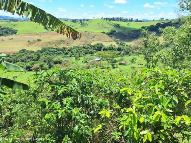 Sítio / Chácara para Venda em Caldas, Santana de Caldas, 3 dormitórios, 2 banheiros, 1 vaga