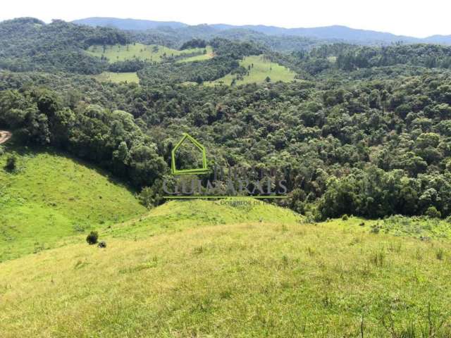 TERRENO com 30.000m² À VENDA - ÁGUAS MORNAS SC