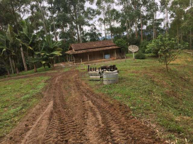 ÓTIMO TERRENO À VENDA, com 40 hectares, em LEOBERTO LEAL - SC