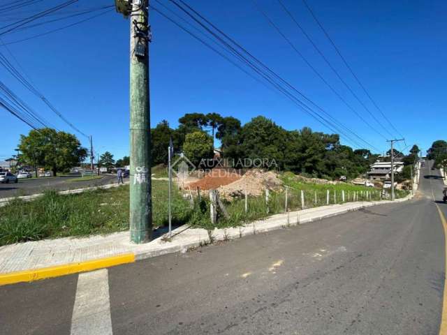 Terreno comercial à venda na Conego João Marchesi, 55, Centro, Canela, 4980 m2 por R$ 4.000.000