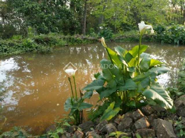 Chácara / sítio à venda na Chapadão, 1896, Centro, Canela, 87000 m2 por R$ 2.600.000