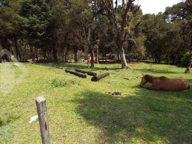 Terreno em condomínio fechado à venda na PRESIDENTE JOAO GOULART, 149, Centro, Canela, 4825 m2 por R$ 1.060.000