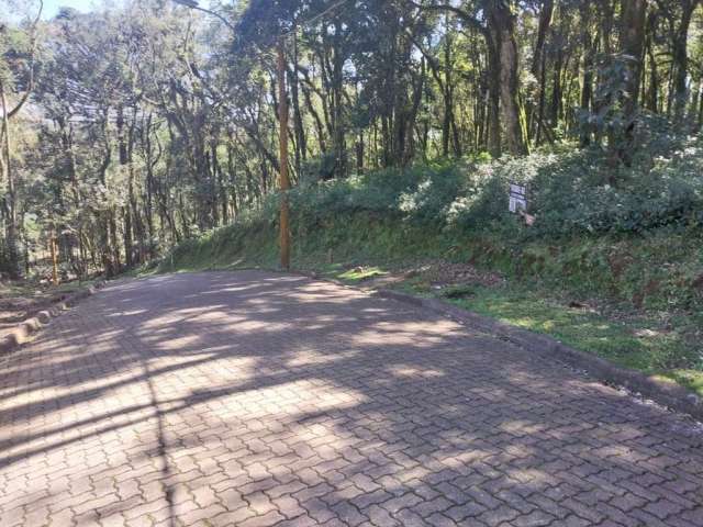 Terreno à venda na ERS-466, 16, Caracol, Canela, 952 m2 por R$ 750.000