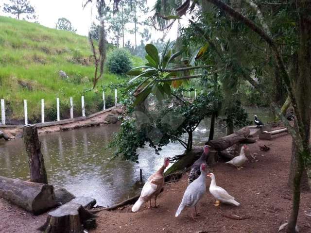 Chácara / sítio com 3 quartos à venda na Aratingaúba, 1, Aratingauba, Imaruí por R$ 375.000