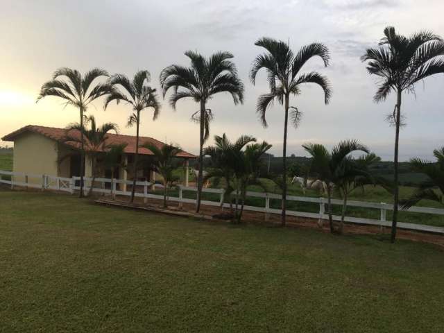 Excelente haras disponível para venda em boituva-sp!