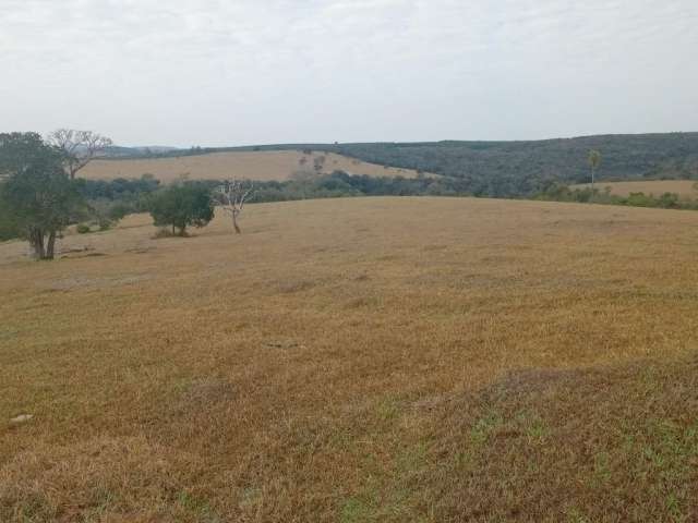 *_ vendo excelente fazenda em bofete-sp