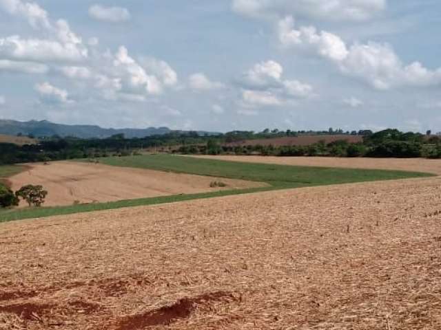 Oportunidade para investidor visionário, excelente Fazenda disponível para venda na região de Ribeirão Preto