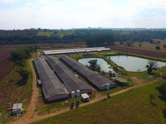 Granja com 8 Alqueires na Rodovia Castelo Branco