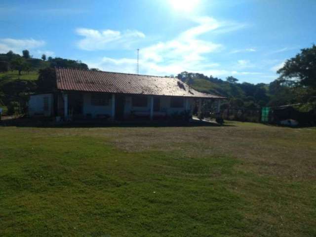 Fazenda de 162 Alqueires em Itapetininga/SP, Pecuária e Plantio