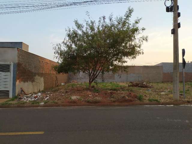 Terreno no São Thomaz, bairro em crescimento, no prolongamento duplicado da Av. Mirassolândia, lote próximo a Avenida e a entrada do bairro.