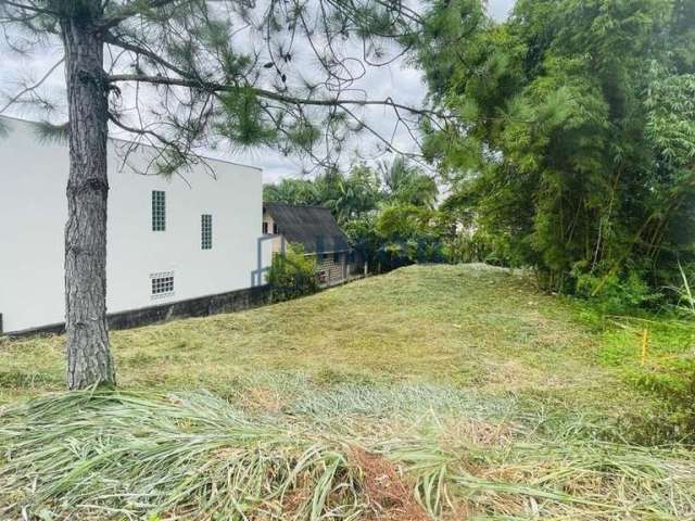 Terreno com 600 m² de área, bairro Tifa Martins