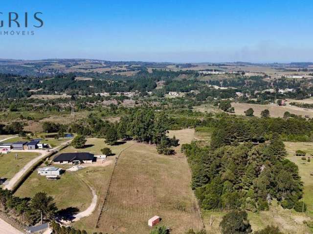 Terreno à venda, 20000 m² por R$ 2.000.000,00 - São Luiz do Purunã - Balsa Nova/PR