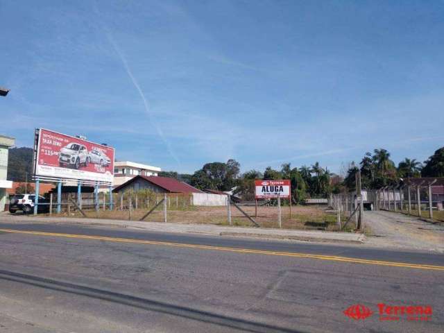 Terreno para alugar, 1000 m² por R$ 3.000,00/mês - Velha - Blumenau/SC