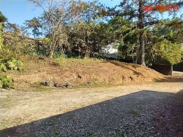 Terreno à venda, 770 m² - Velha - Blumenau/SC