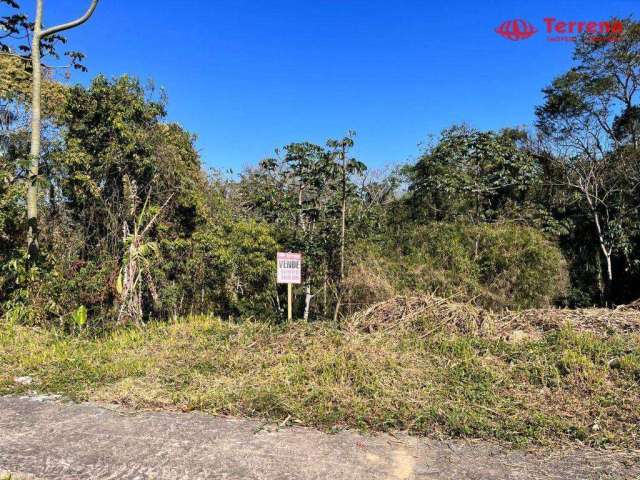 Terreno à venda, 387 m² - Água Verde - Blumenau/SC