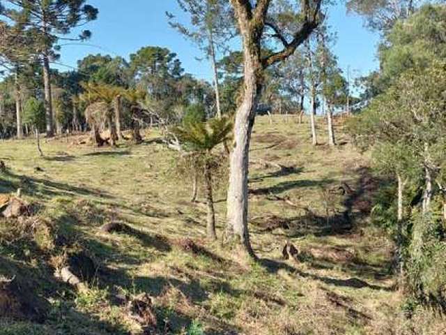 área de 14 hectares no vacariano de fácil acesso, próximo a Urubici, Rio Rufino