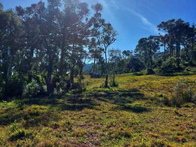 Lindo terreno de altitude com dois hectares no Rio dos Bugres em Urubici