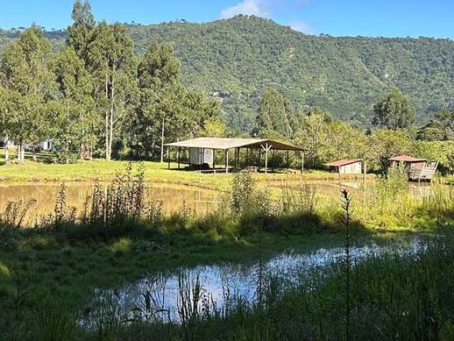 Área rural de frente para estrada municipal com 4,6 hectares.