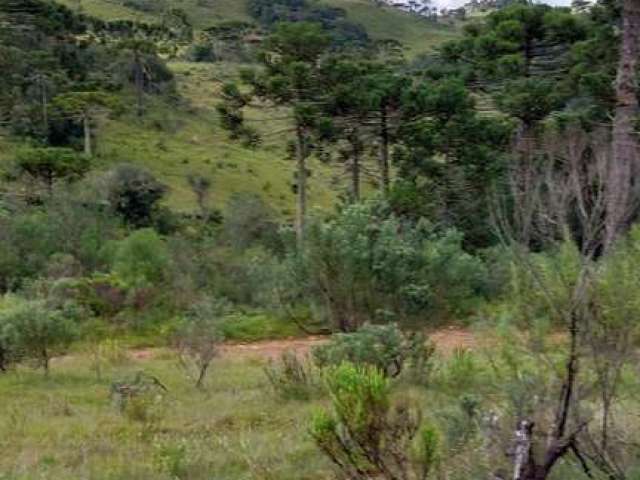 área rural com 10 hectares,  na localidade de Pericó em São Joaquim