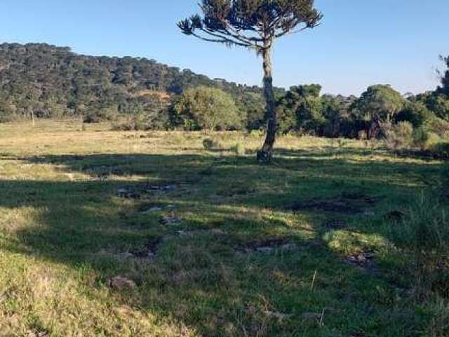 lindo Sítio em Urubici, localidade de Jararaca