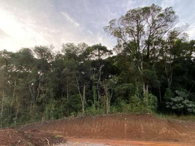 Terreno à venda na Rua Santo Bortolini, Bela Vista, Caxias do Sul por R$ 7.000.000