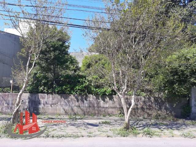 Terreno à venda na Rua Angelina Michielon, 1680, Cristo Redentor, Caxias do Sul por R$ 900.000