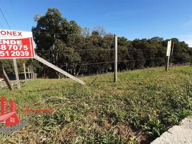 Terreno à venda na Rua Honeyde Bertussi, 01, Nossa Senhora da Saúde, Caxias do Sul por R$ 1.293.000