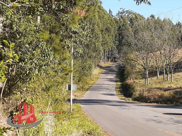 Terreno à venda na Est. Municipal Josephina Bianchi Segat, 02, Forqueta, Caxias do Sul por R$ 1.600.000