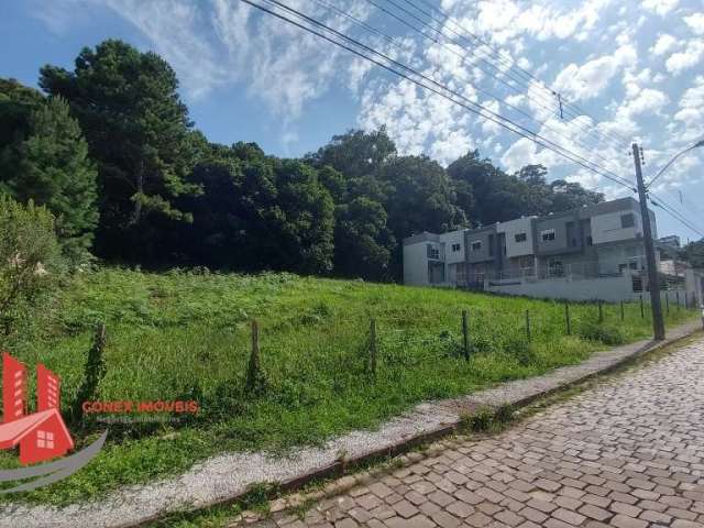 Terreno à venda na Firmino Pandolpho, 673, Altos do Seminário, Caxias do Sul por R$ 345.000