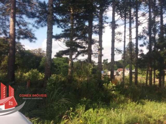 Terreno à venda na 122, Km 30, 001, Samuara, Caxias do Sul por R$ 4.340.000