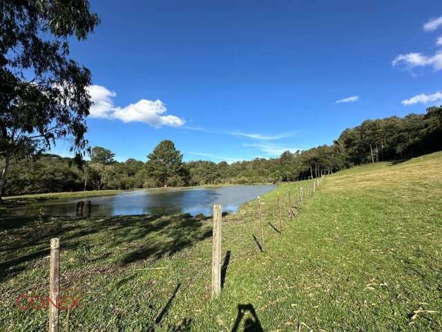 Chácara / sítio à venda na Área Rural, 01, Zona Rural, Farroupilha por R$ 1.500.000